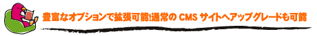 豊富なオプションで拡張可能！通常のCMSサイトへアップグレードも可能