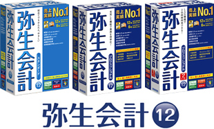 弥生会計12