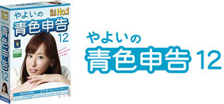 やよいの青色申告12